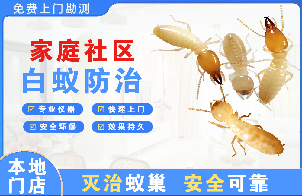 永康家庭社区白蚁防治