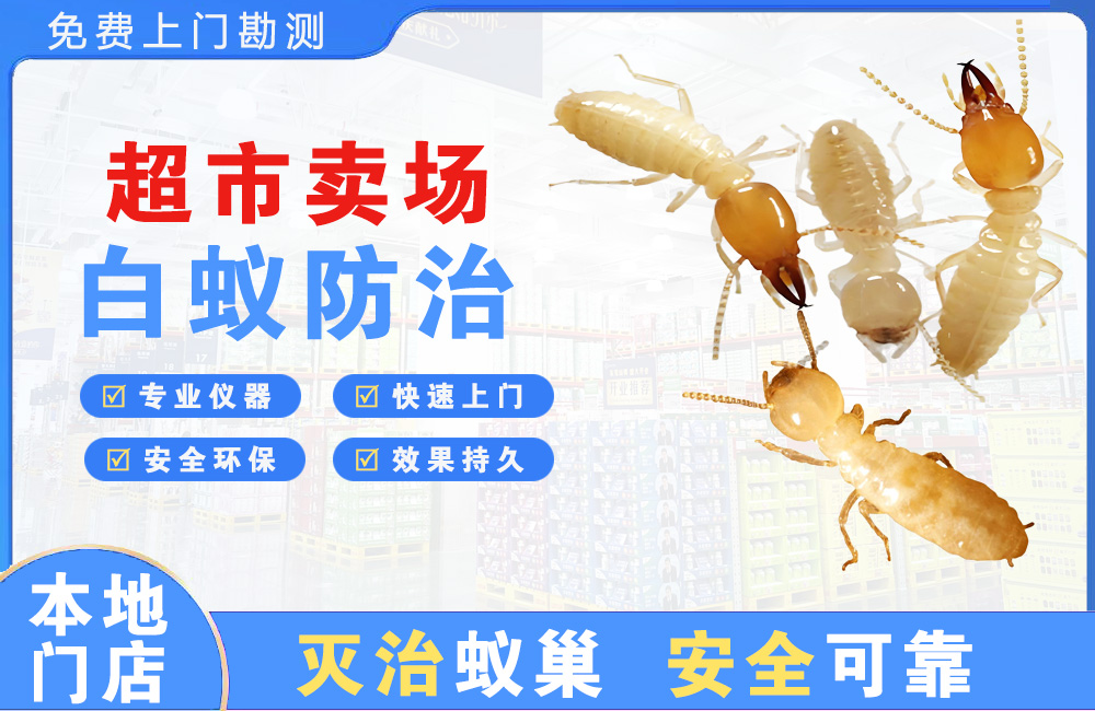 永康超市卖场白蚁防治