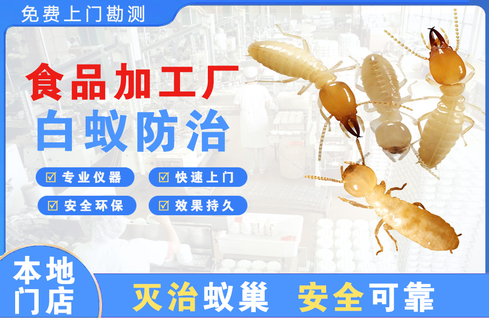 永康食品加工厂白蚁防治