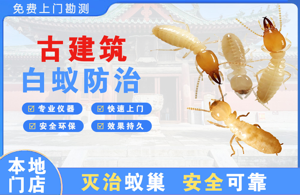 永康古建筑白蚁防治