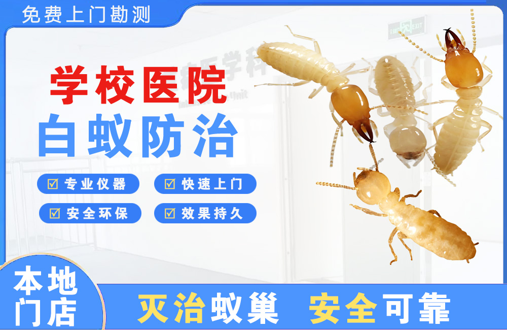 永康学校医院白蚁防治