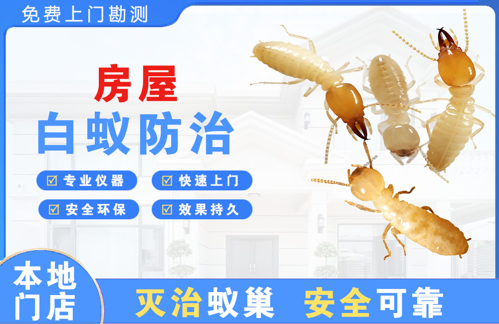 永康房屋白蚁防治