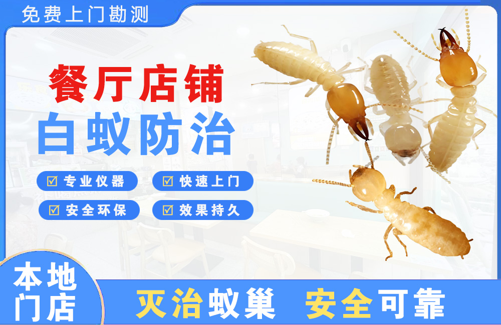 永康餐厅店铺白蚁防治